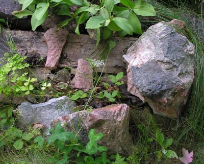 Prospective Rocks in Bev's garden