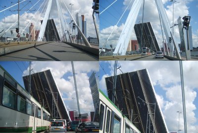 Erasmus Bridge (Rotterdam, Netherland)