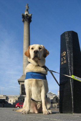 Ufton  at Trafalgar Square