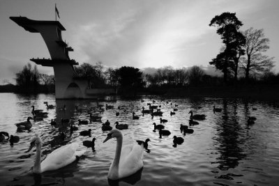 Coate Water at dusk
