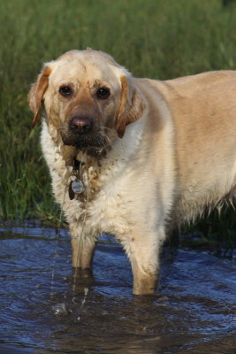 Abbie having fun in the mud!