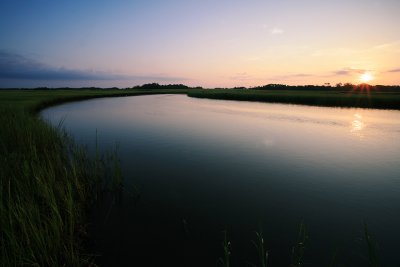 Morning on Marsh.jpg