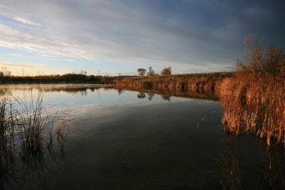 Duck Pond at Sunrise.jpg