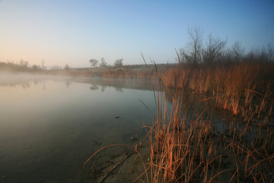 Duck Pond at Dawn.jpg