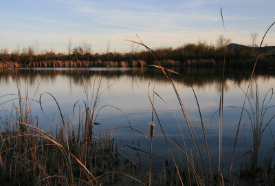 Winter Sunset over Pond.jpg