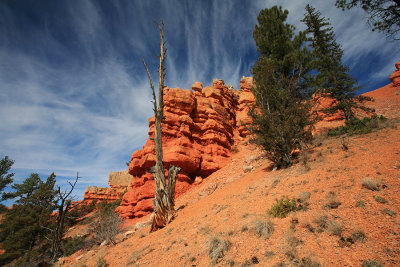 Red-Canyon 2.jpg