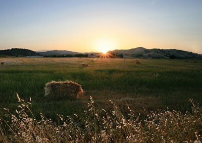 First-Hay-Cutting-PR-v9s.jpg