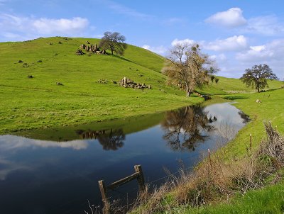 Cow-Pond-PWS.jpg