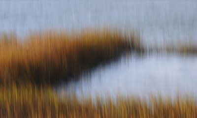 Fall Marsh Grass Abstract