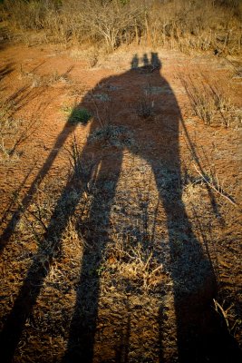 Zimbabwe, Long Shadow