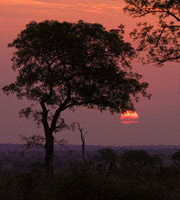 Kruger NP Sunset 3