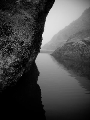 Washington Coast