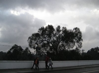 g6/59/742159/3/74077570.8c1kA6Cl.jpg