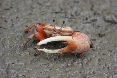 IMG_1746.JPG
