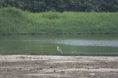IMG_1758.JPG