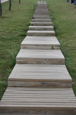 IMG_1787.JPG