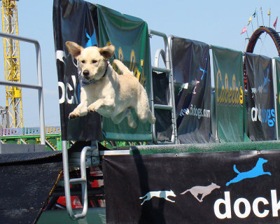 fun_at_the_fair