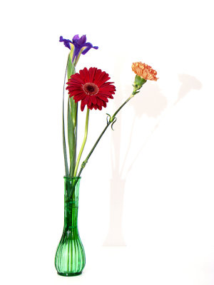 Flowers and Shadows