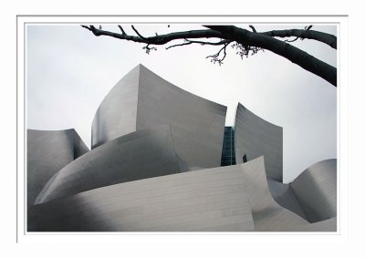 Disney Concert Hall 3