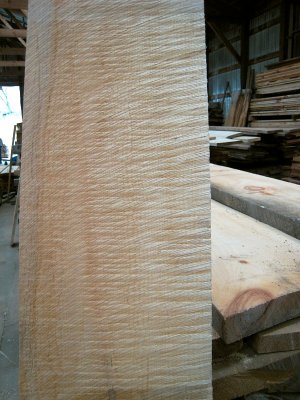  Highly figured hard Sugar Maple wood