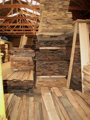 View looking to the rear area of the wood shed