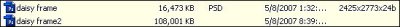 Detailed View of files in ACDSee - files both created with PS CS3