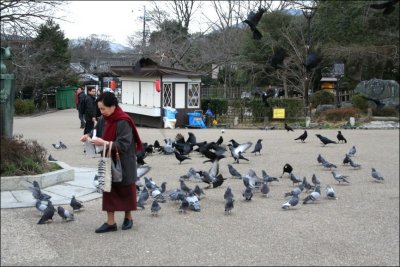 祇園裡的公園