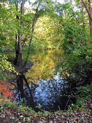 more_of_the_park_