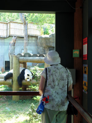 anne marie and panda zoo atlanta_0617 copy.jpg