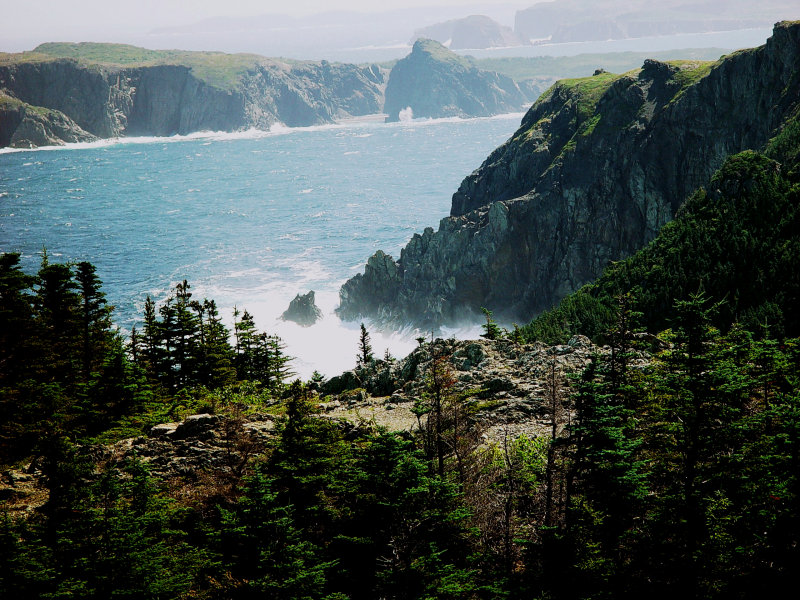 SEA MIST AT TWILLINGATE-THE FACE OF NEWFOUNDLAND AND ONE OF MY FAVORITE PICTURES OF THE ISLAND