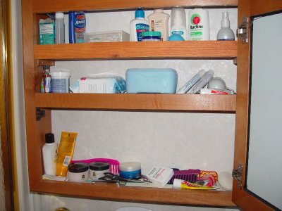 NEW SHELVES IN THE BATHROOM VANITY