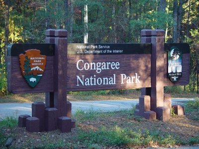 THIS IS A PARK YOU DON'T WANT TO MISS-CONGAREE NATIONAL PARK