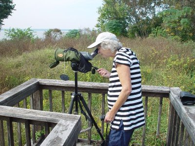 SARA INCREASED HER LIFE LIST OF BIRDS IN THE DEEP SOUTH