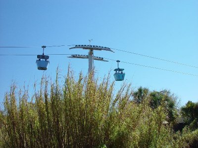 THE OVERHEAD TRAM HAD A GREAT VIEW OF THE PARK