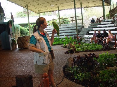 THIS WAS THE FAMOUS BIRD SHOW WE LOVED IT