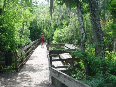 SARA CHECKED OUT A WARBLER AT LETTUCE LAKE