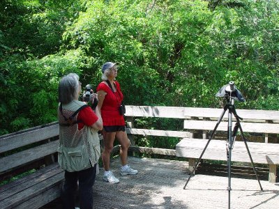 SARA TRADED NOTES WITH A FELLOW BIRD WATCHER