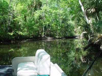 THE VEGETATION ALONG THE CANAL WAS BEAUTIFUL