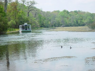 A SECOND TOUR BOAT FOLLOWED US DOWN THE RIVER