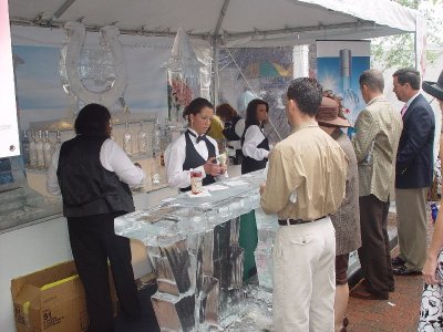 YOU COULD GET A GOLDEN JULIP FROM THIS BAR MADE OF SOLID ICE