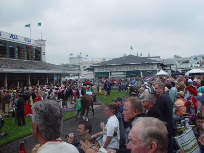 THE HORSES AND JOCKEYS ARE LED OUT OF THE PADDOCK TO THE GATES