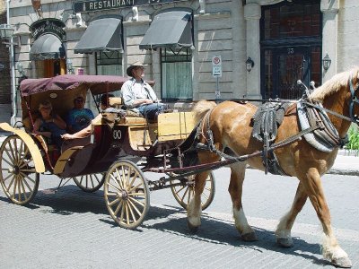 THERE ARE MANY CARRIAGE RIDES IN OLD QUEBEC