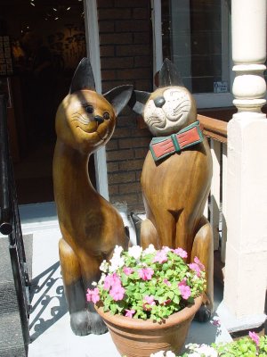 WE LOVED THESE CATS ON SALE IN THE LOWER OLD CITY OF QUEBEC