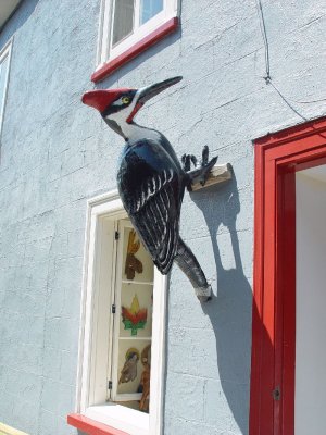 BUT SARA'S FAVORITE WAS THIS WOOD PECKER ON THE SIDE OF A BUILDING