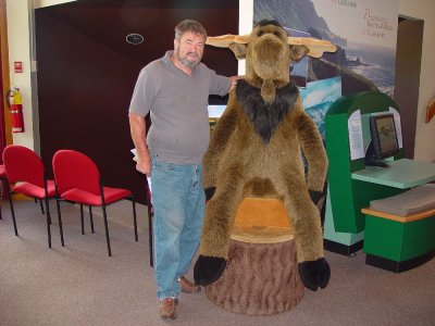 MORIE THE MOOSE,  AT THE PARK VISITOR'S CENTER LOVED DON-THERE ARE OVER 150,000 OF MORIE'S BUDDIES ON THE ISLAND OF NEWFOUNDLAND