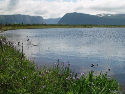 A LOOK BACK AT WESTERN BROOK POND