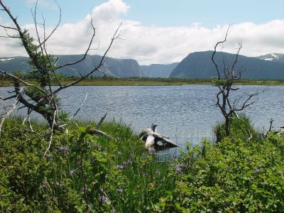 WE HATED TO LEAVE THIS PLACE AND WILL NEVER FORGET THE BEAUTY OF WESTERN BROOK POND