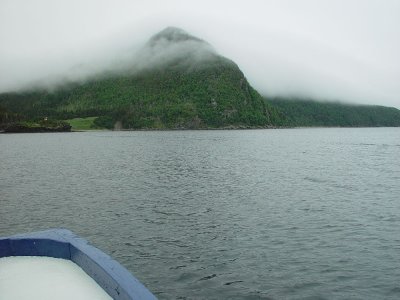 THE MIST OF GROS MORNE-MAKES EVEN A FOGGY DAY SEEM SURREAL