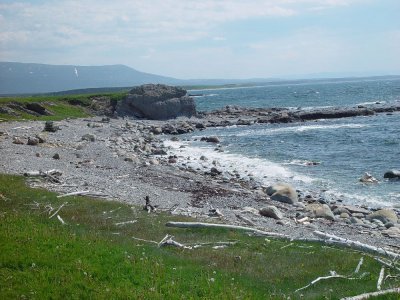 THE SHORE AT COW HEAD-HOME OF THE GROS MORNE FESTIVAL THEATRE