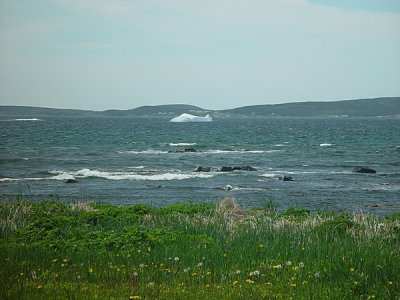 THERE WERE SEVERAL ICEBERGS IN JULY